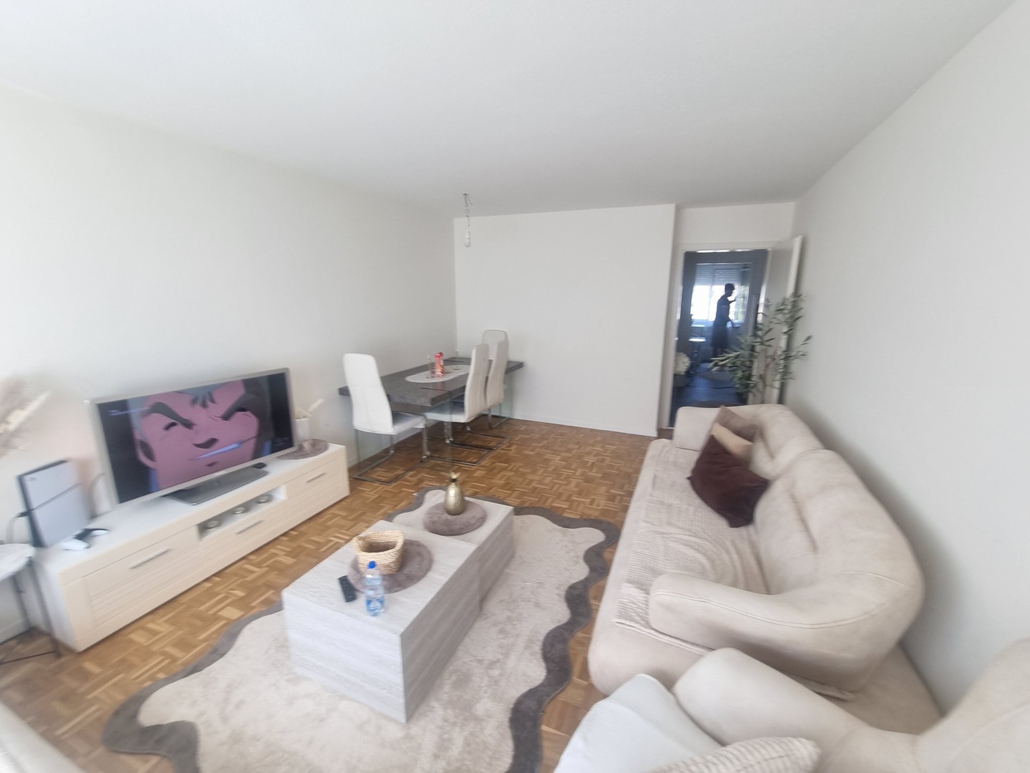 Appartement de 3 pièces, photo 3 sur 9