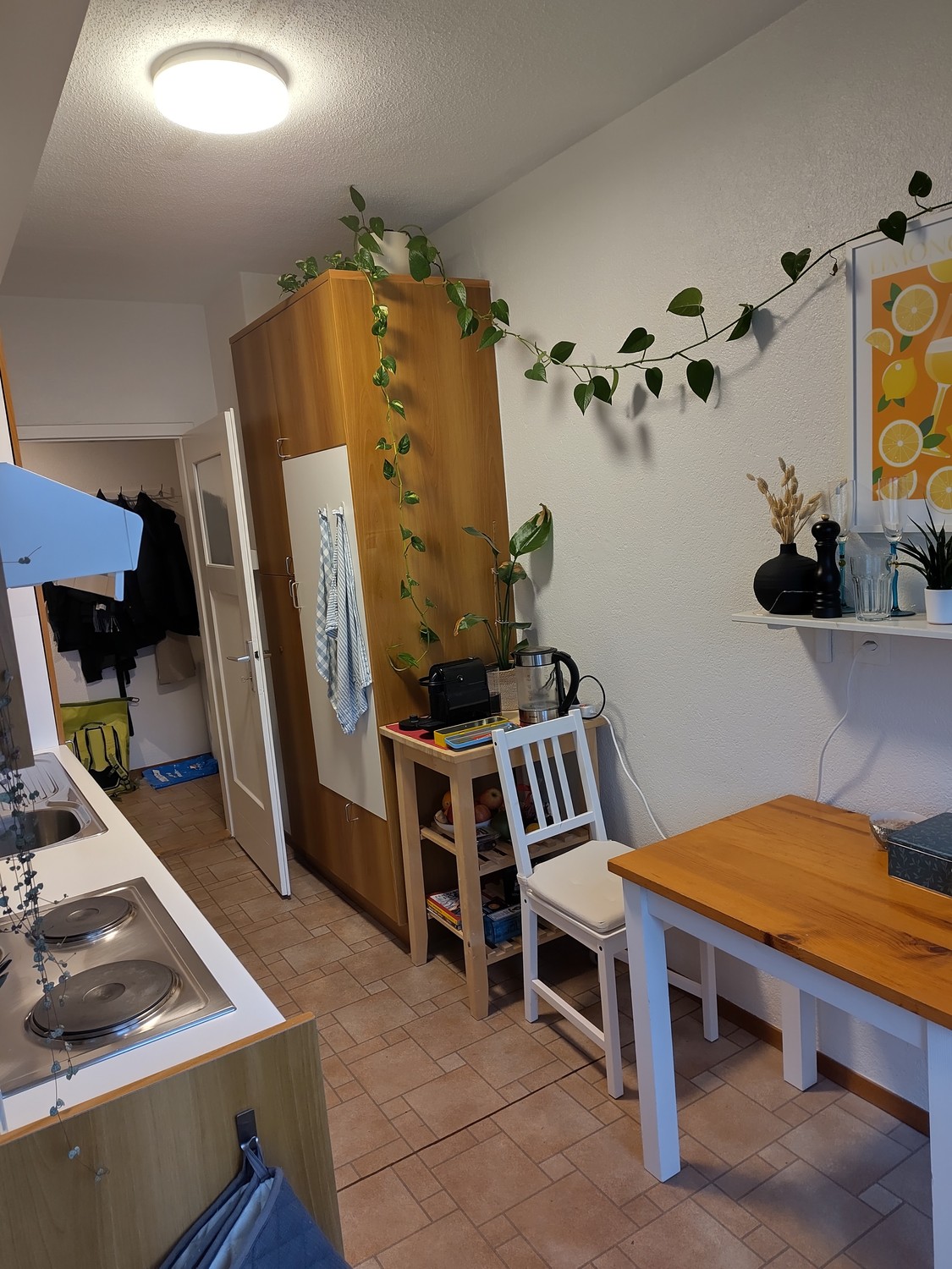 Appartement de 3 ½ pièces