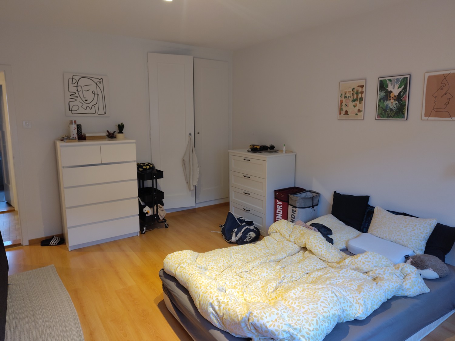 Appartement de 3 ½ pièces