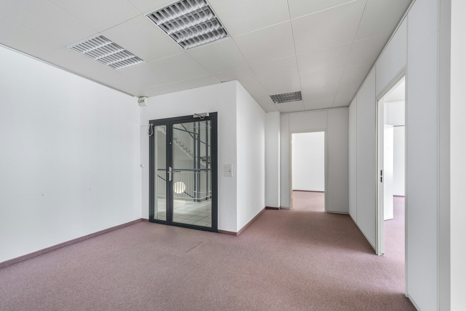 291m² commercial, photo 3 sur 10