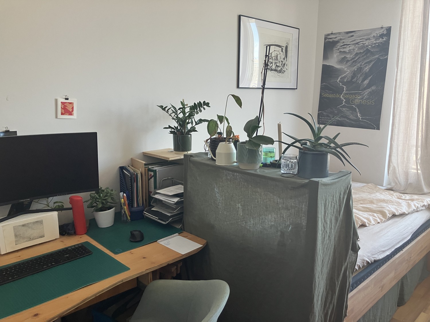 Chambre en colocation