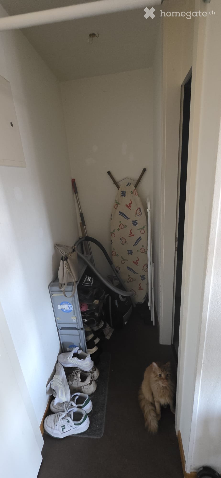 1 room apartment, photo 4 sur 5