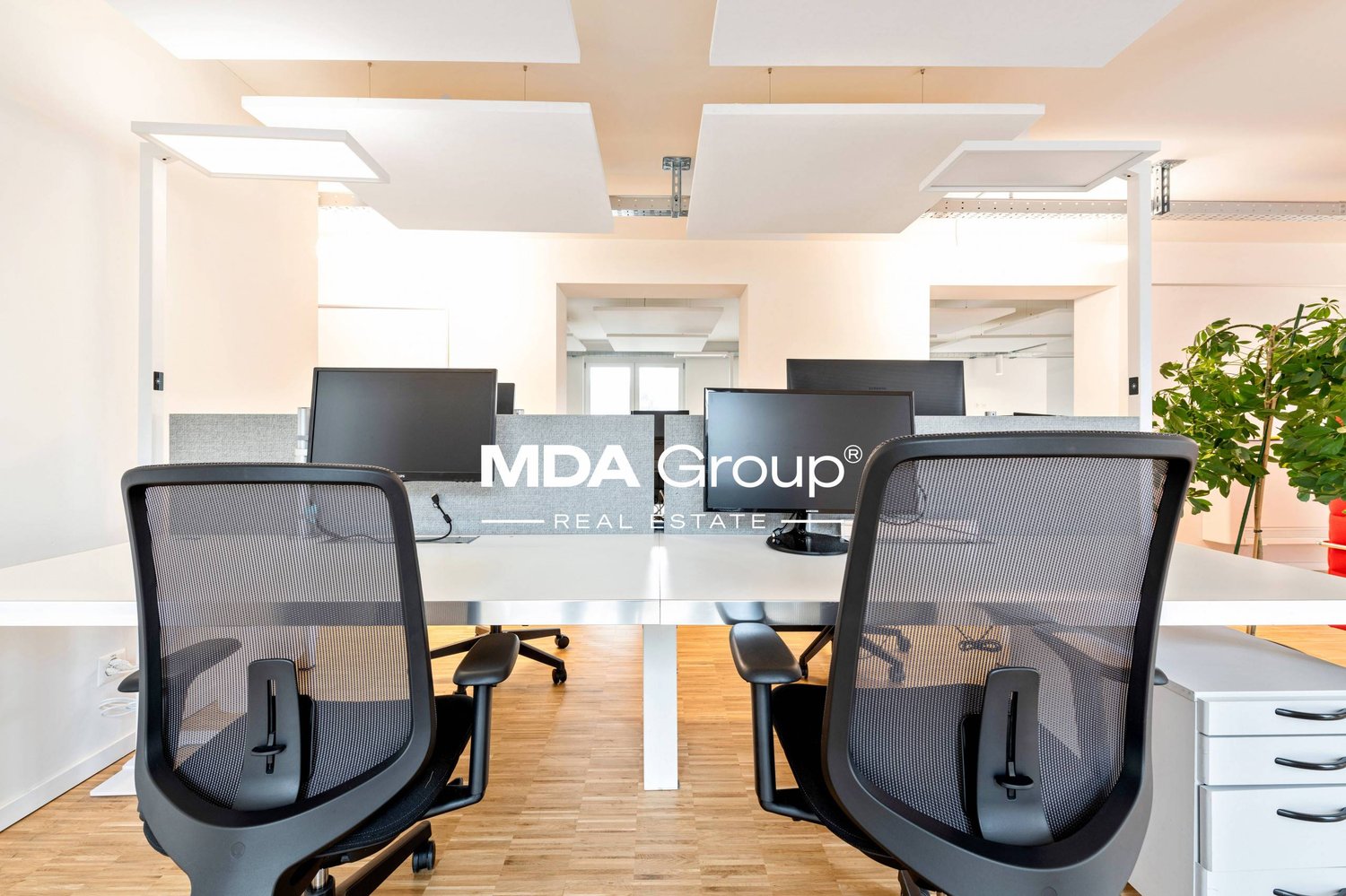 1250m² bureau, photo 1 sur 2