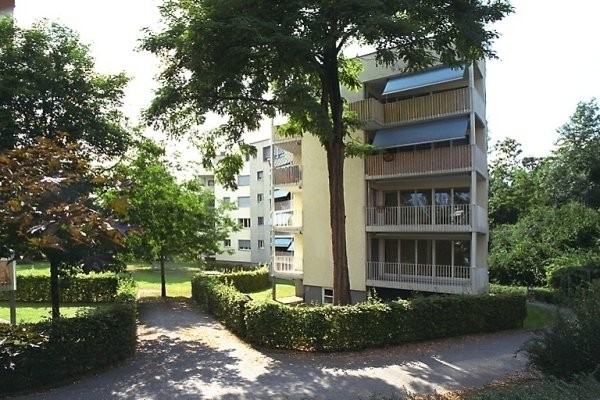 Local de bricolage de 9m²
