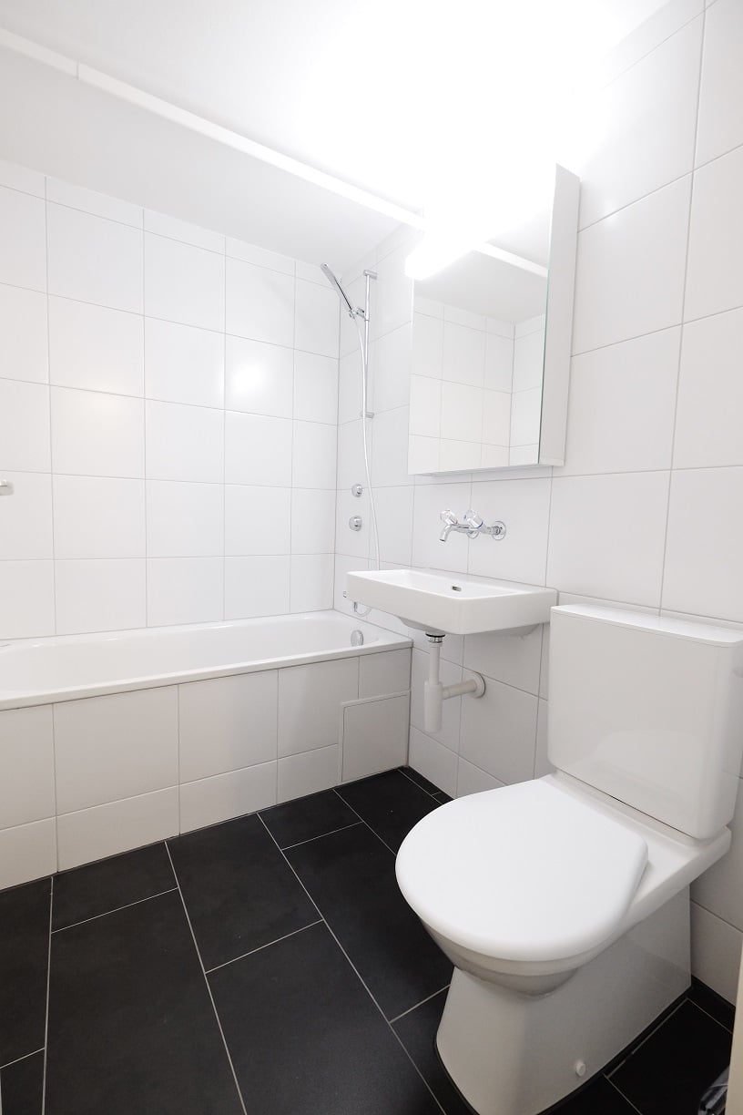 appartement mansardé 1 pièce