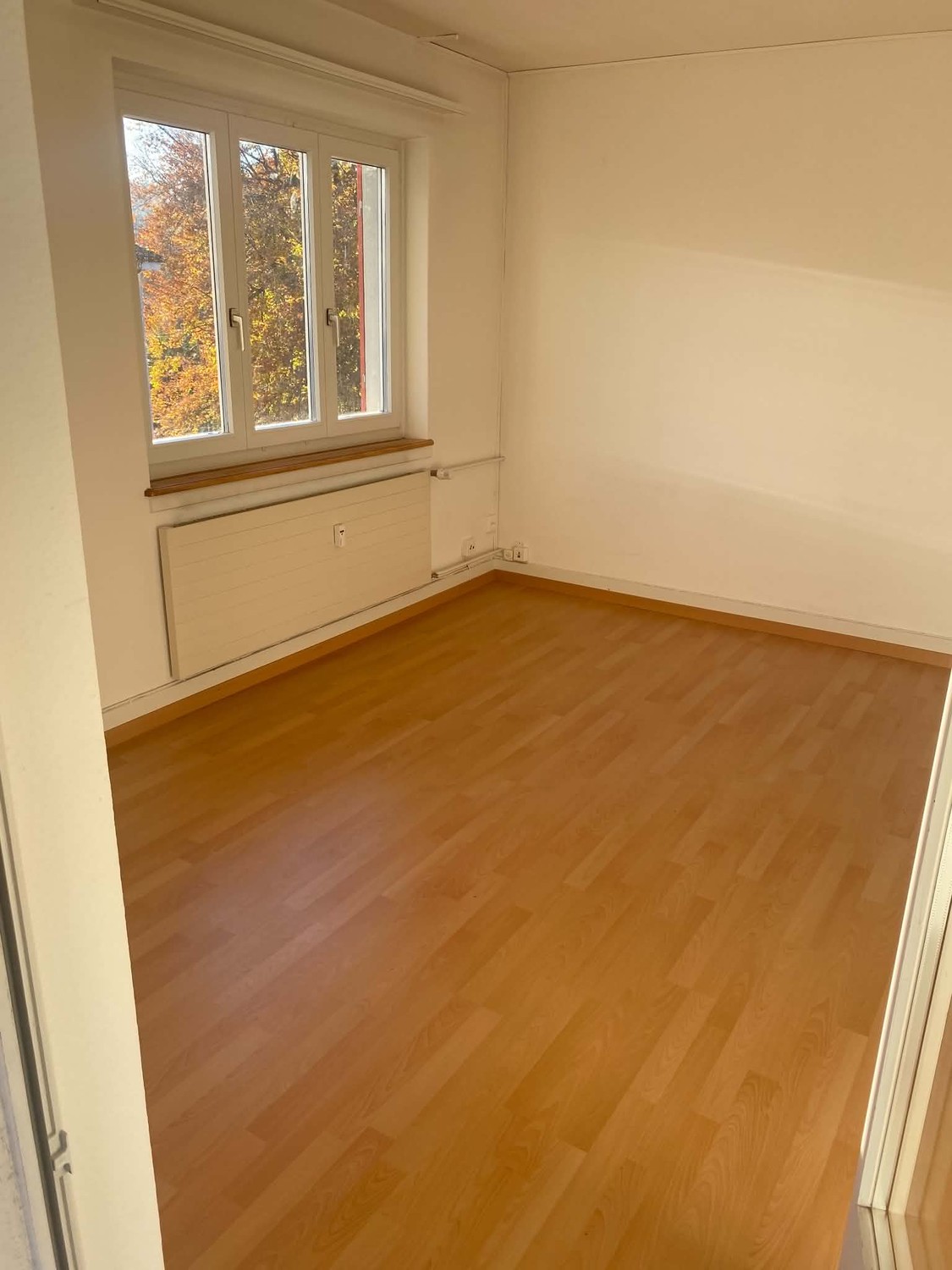 Chambre en colocation, photo 3 sur 6