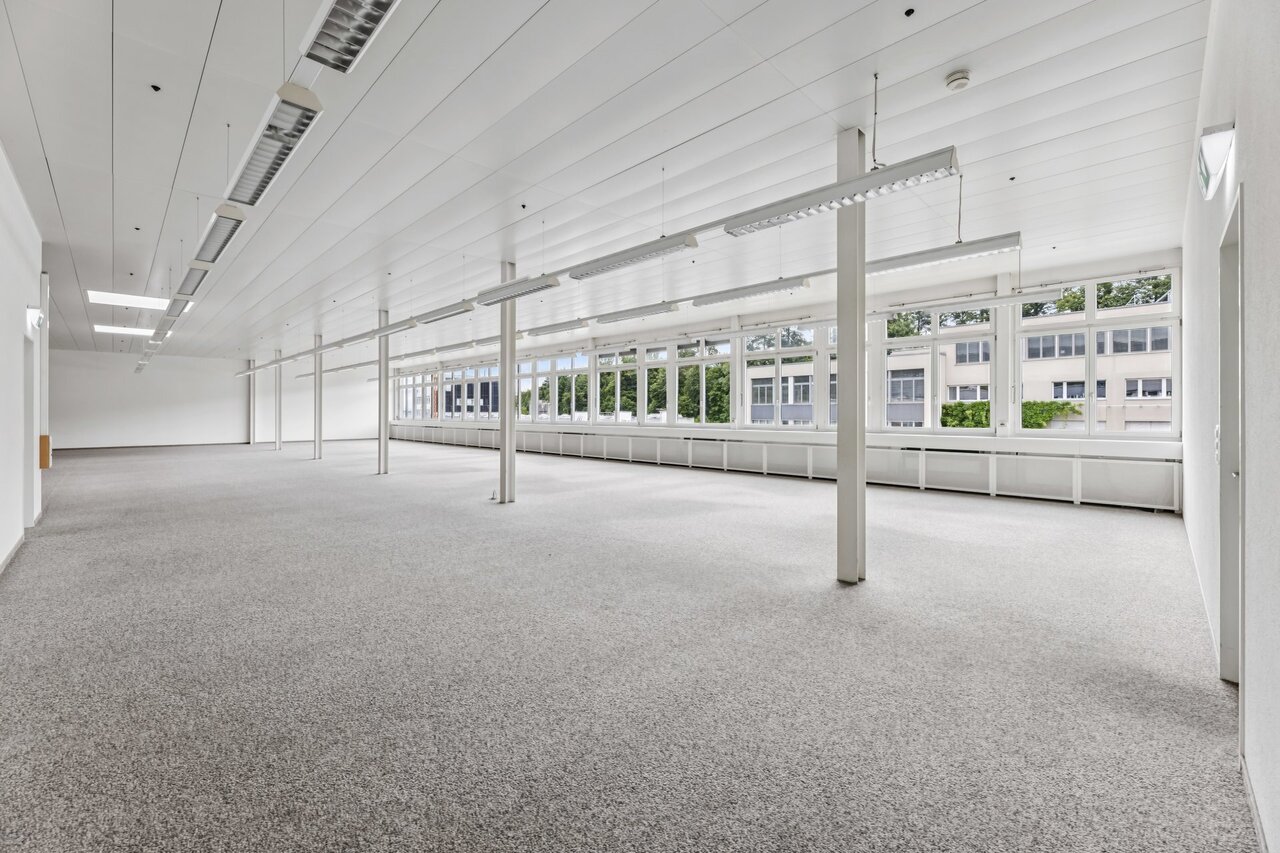 331m² commercial, photo 10 sur 10