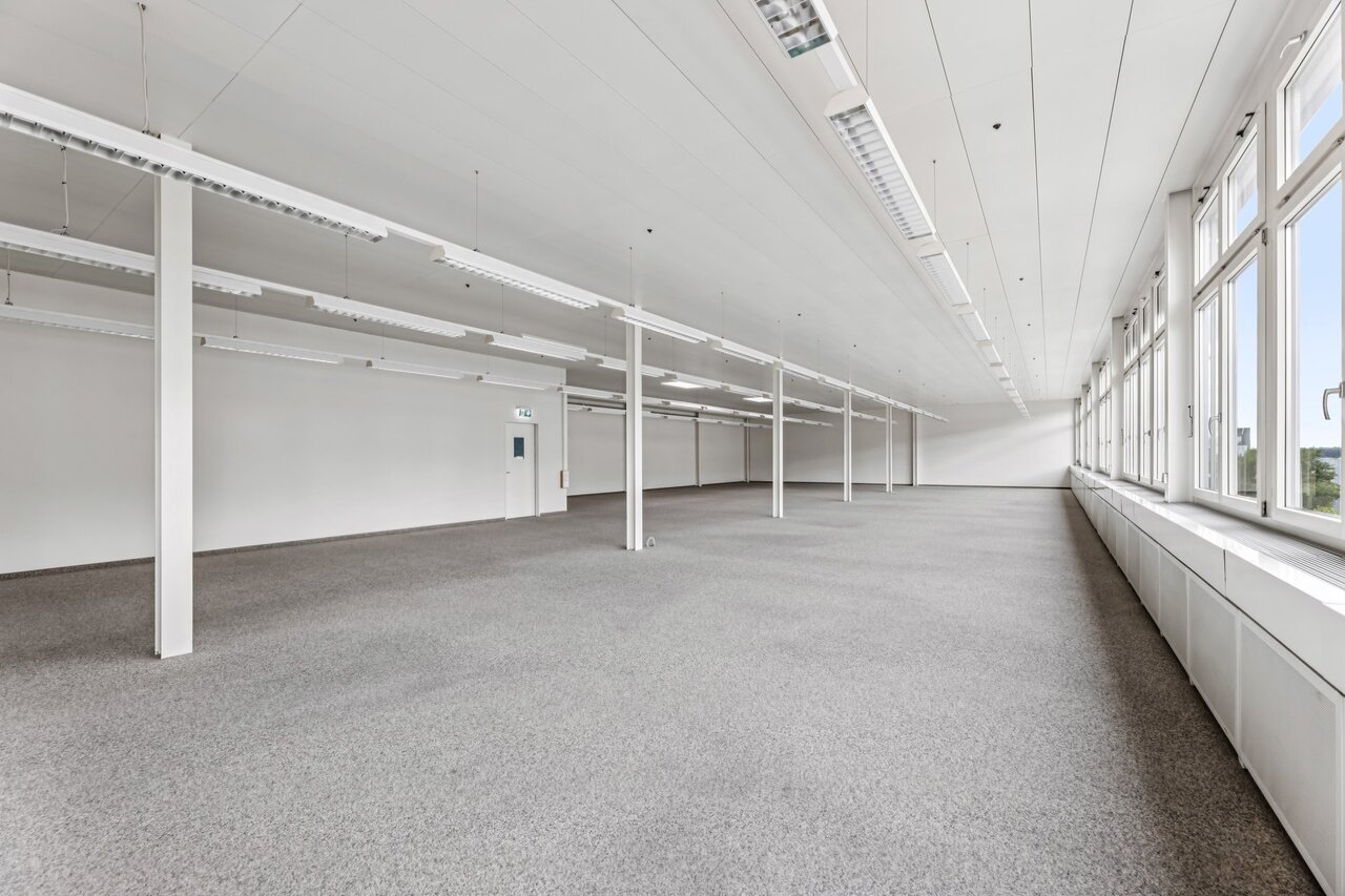 331m² commercial, photo 2 sur 10