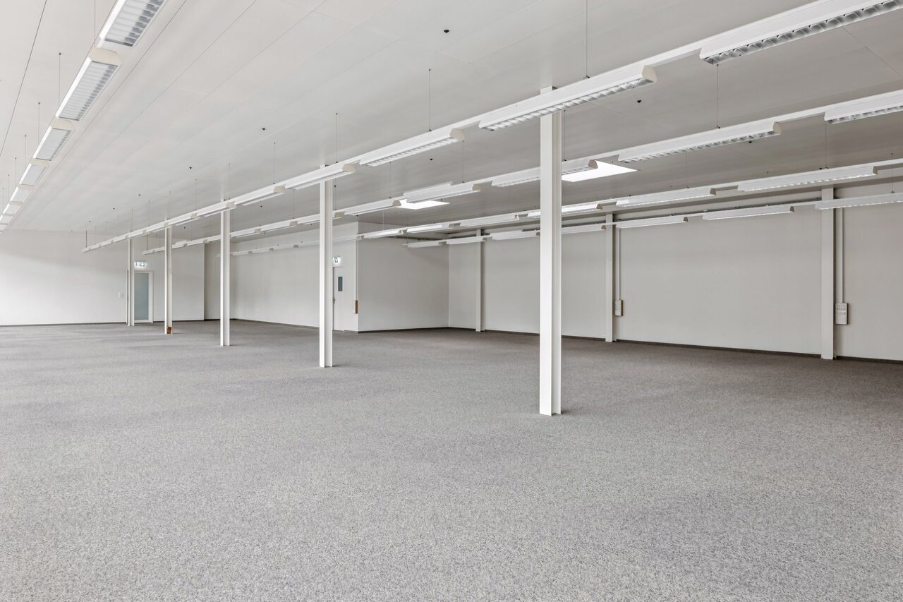 331m² commercial, photo 8 sur 10
