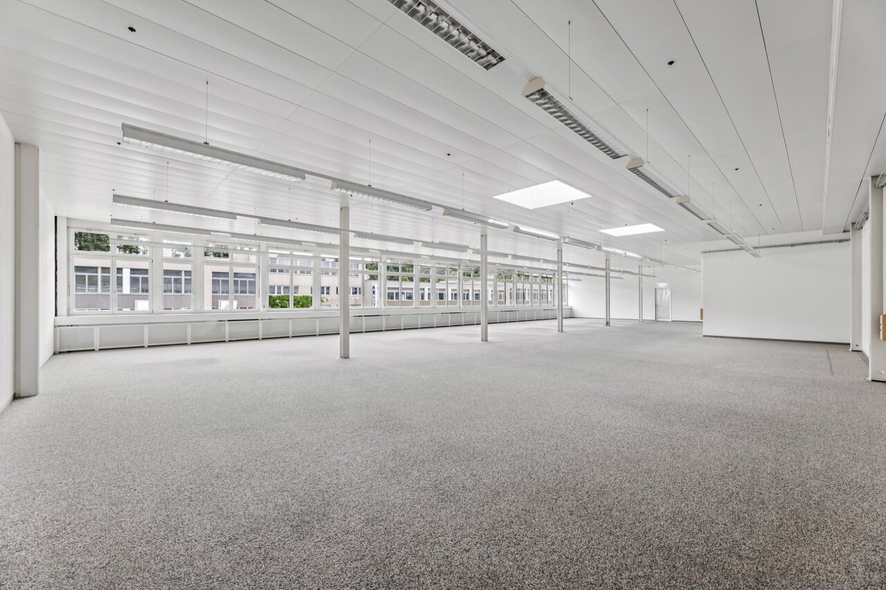 331m² commercial, photo 5 sur 10