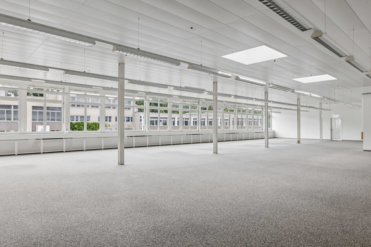 331m² commercial, photo 6 sur 10