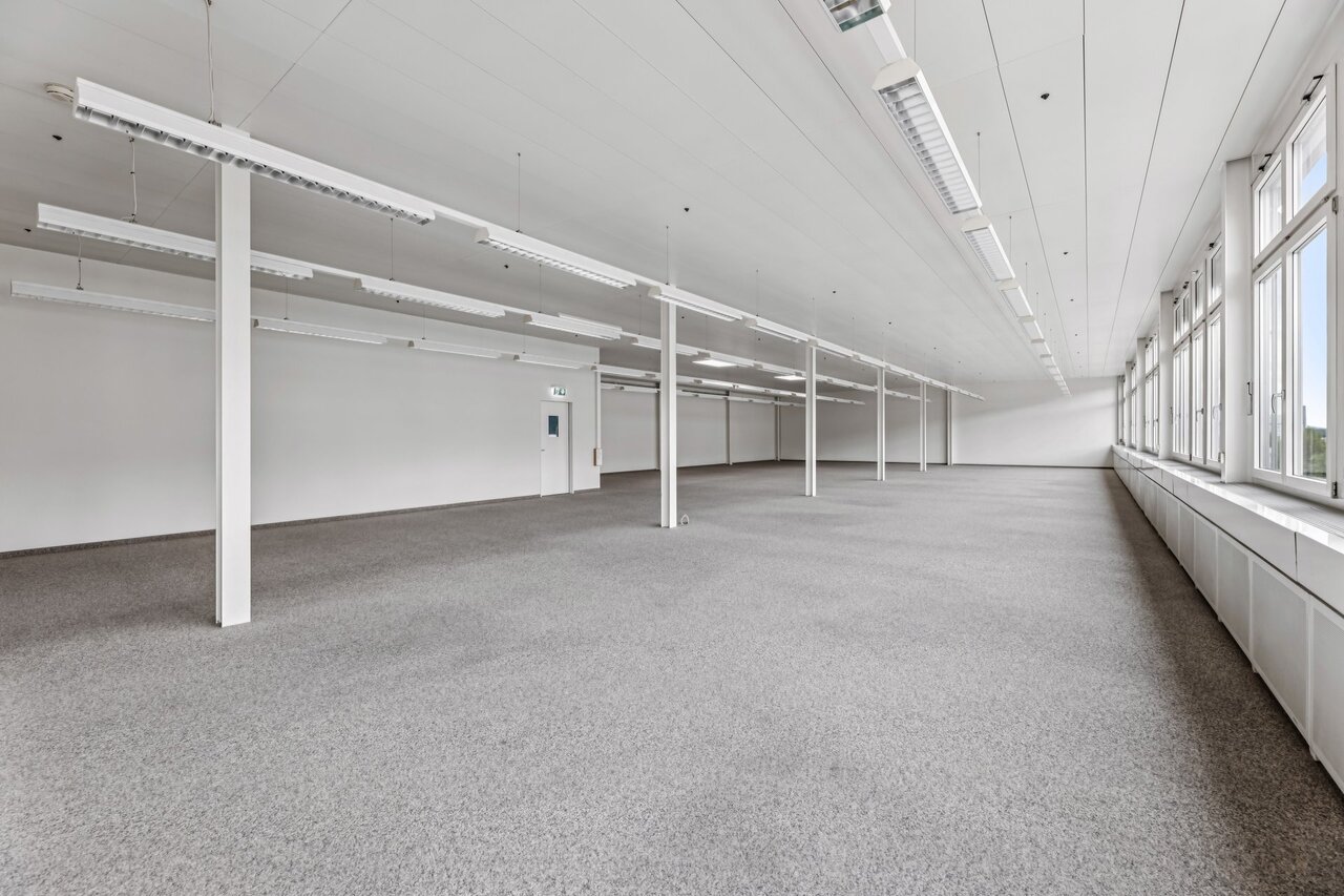 331m² commercial, photo 9 sur 10