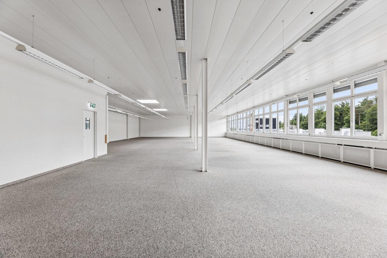 331m² commercial, photo 3 sur 10
