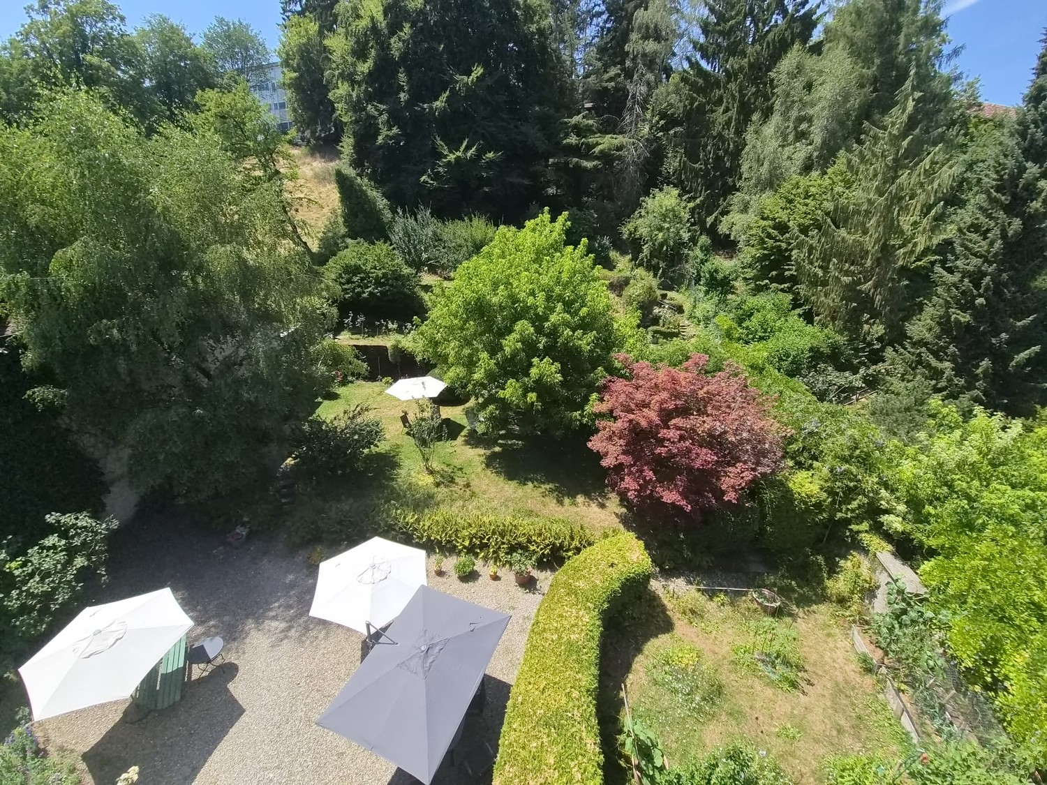 2 ½ rooms apartment, photo 4 sur 5