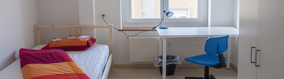 Chambre en colocation, photo 3 sur 10