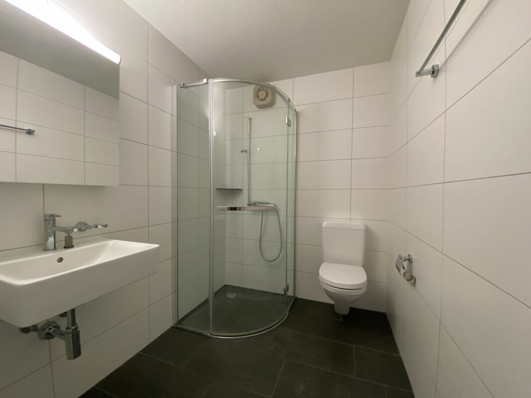 Appartement de 2 ½ pièces, photo 5 sur 6