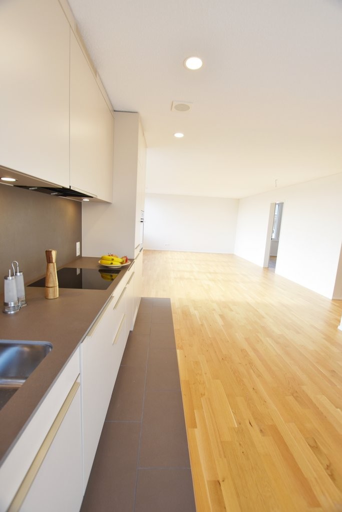 Appartement de 3 ½ pièces, photo 3 sur 10