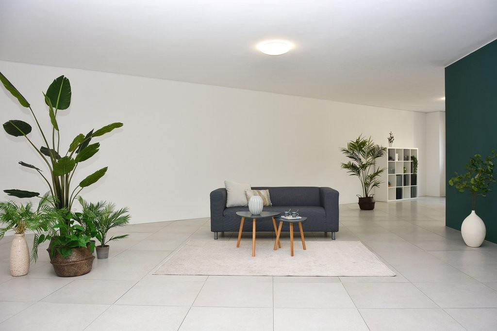 172m² bureau