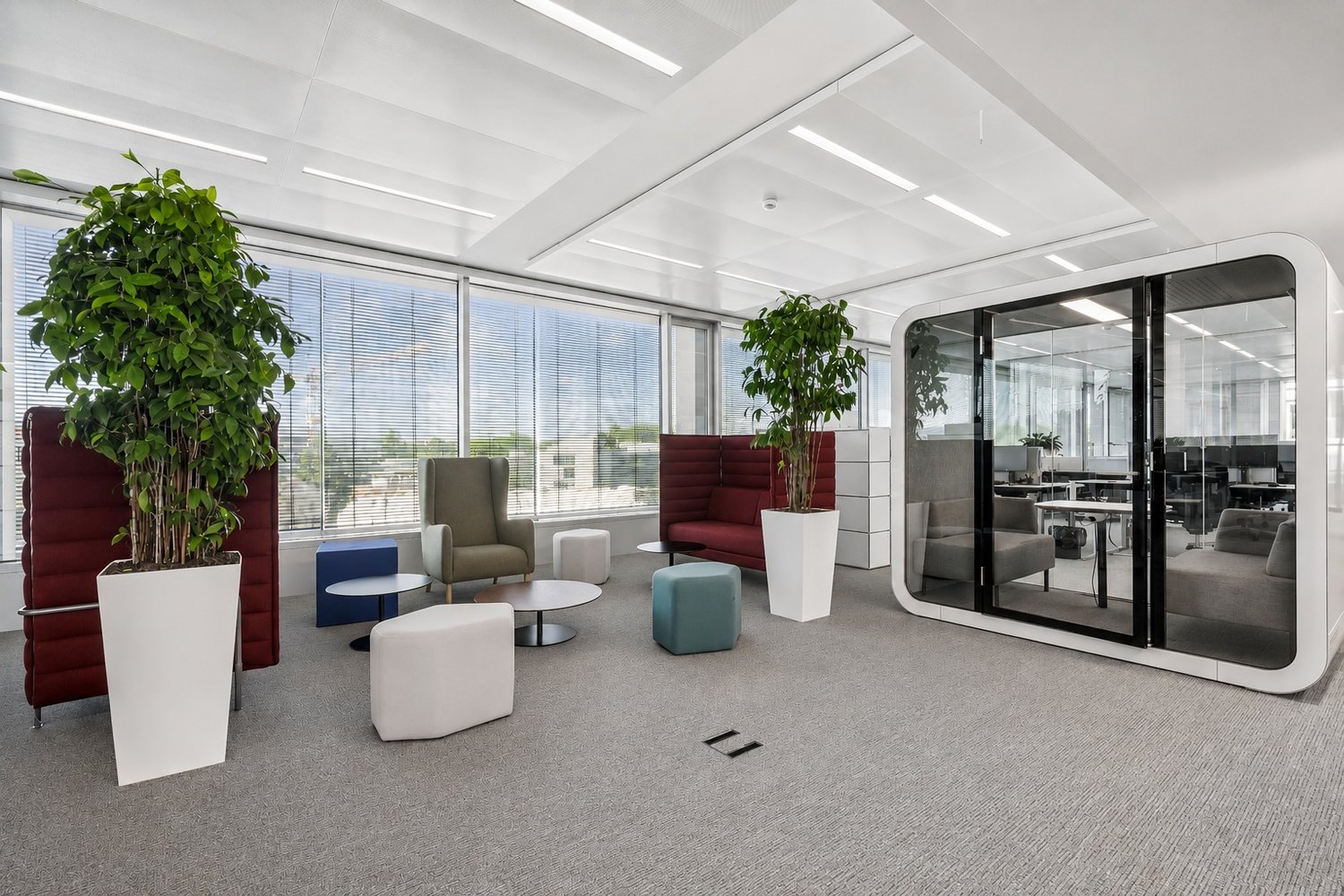 810m² de bureaux