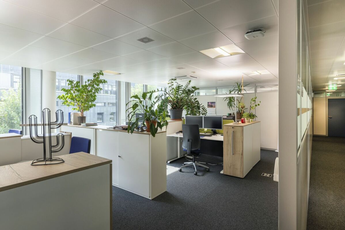 565m² de bureaux