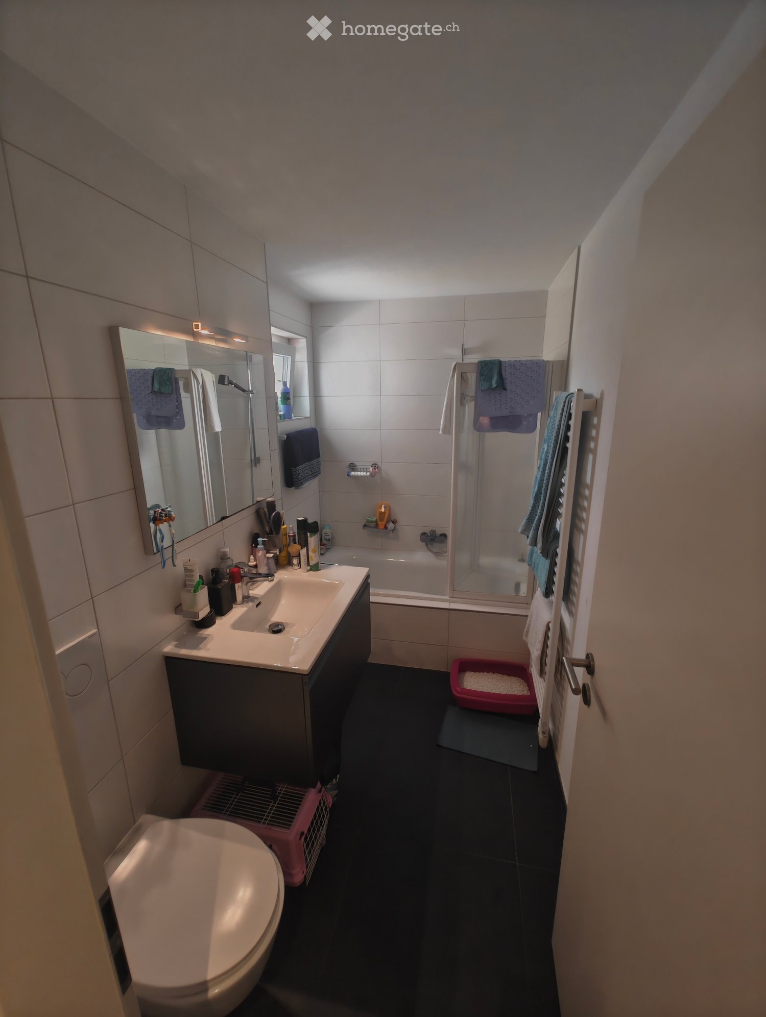 2 ½ rooms apartment