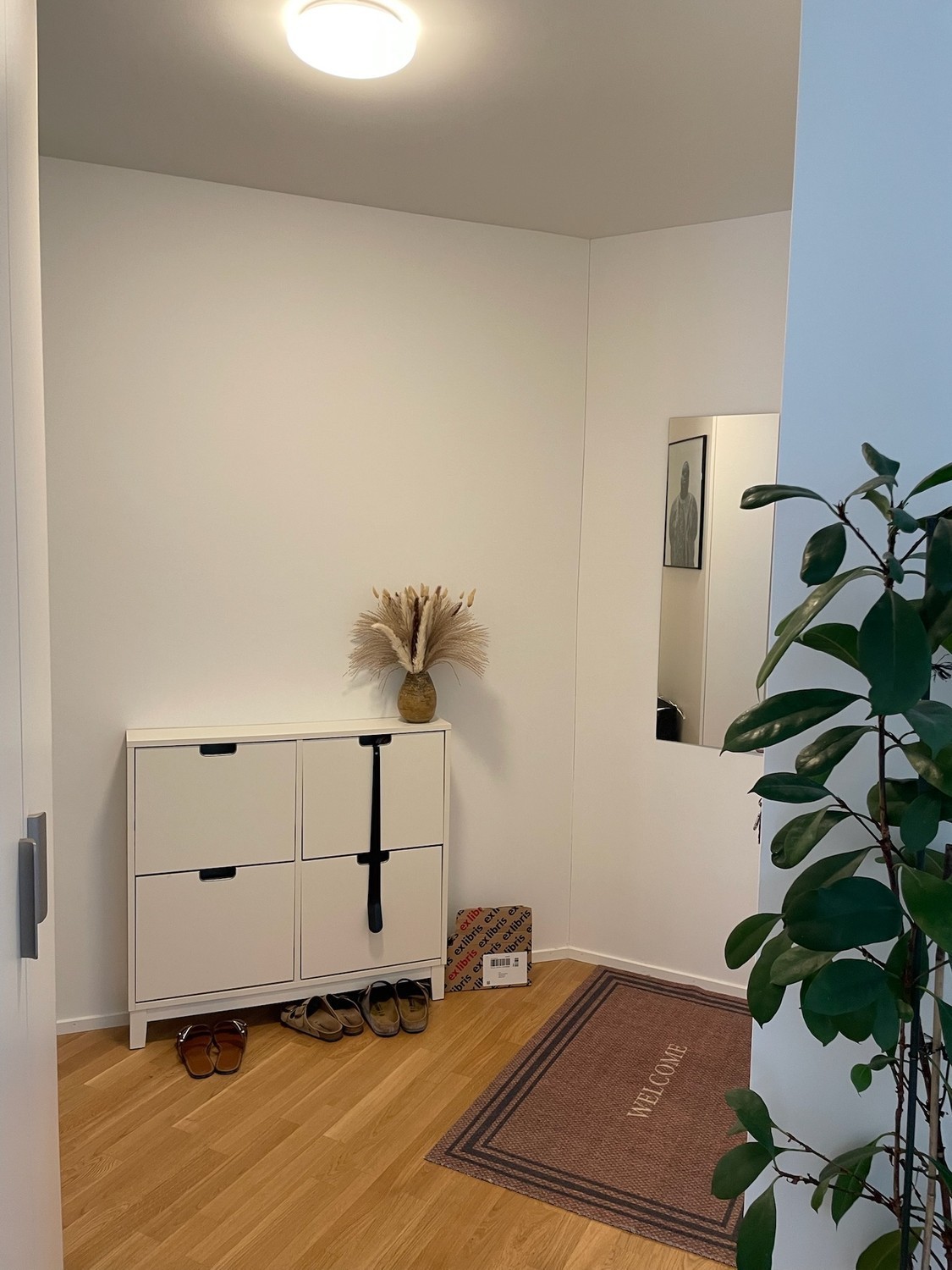 Appartement de 2 ½ pièces