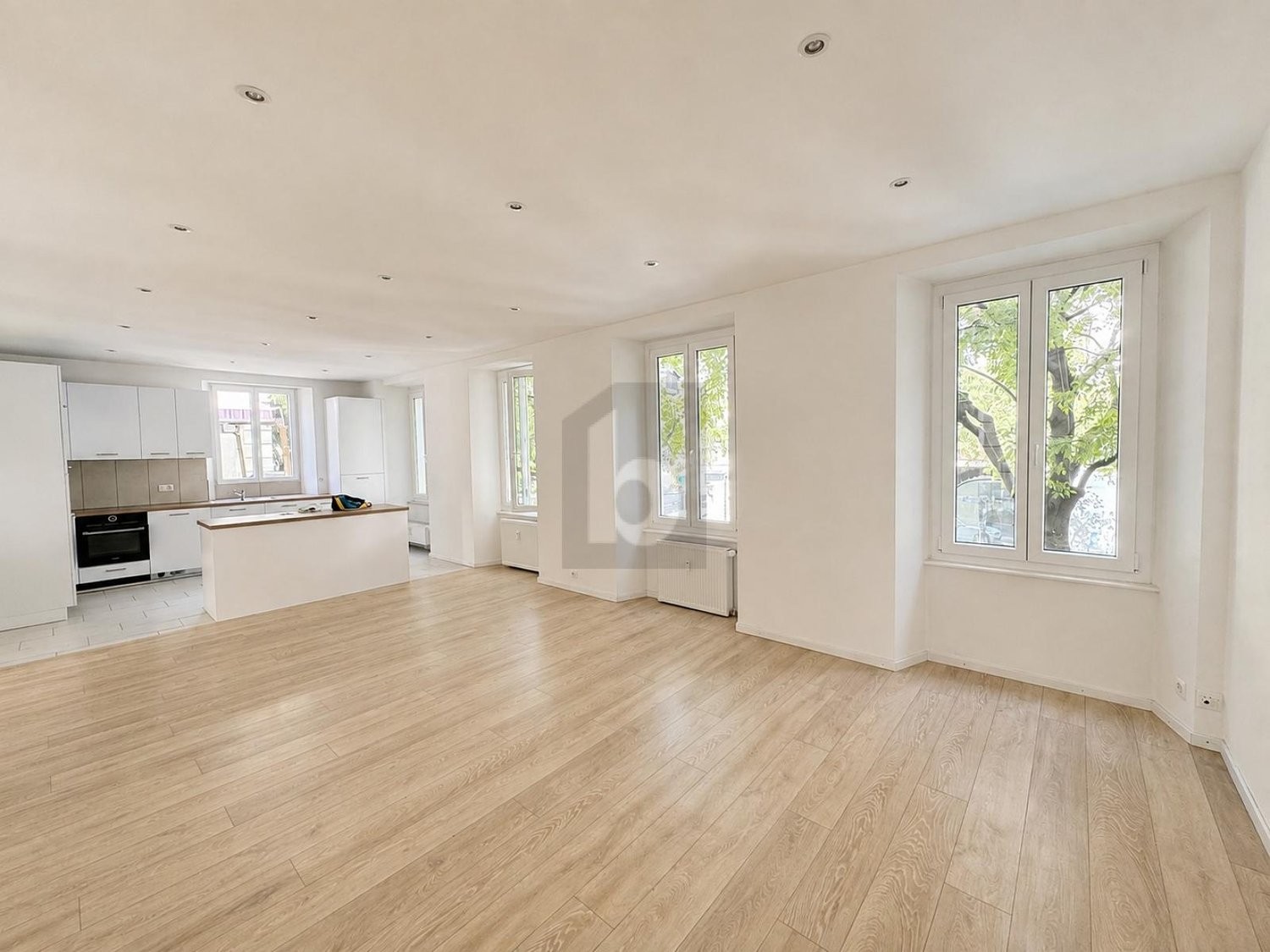 4 ½ rooms apartment