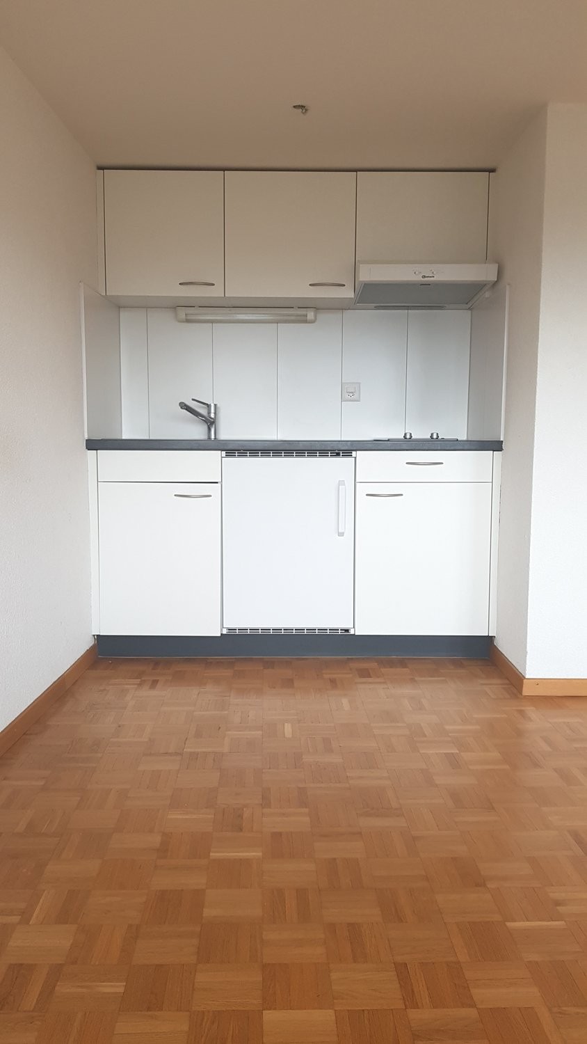 1 ½ rooms apartment, photo 5 sur 8