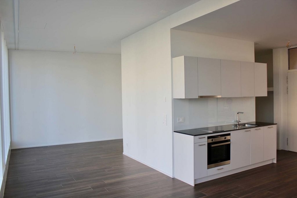 1 ½ pièces appartement, photo 3 sur 4