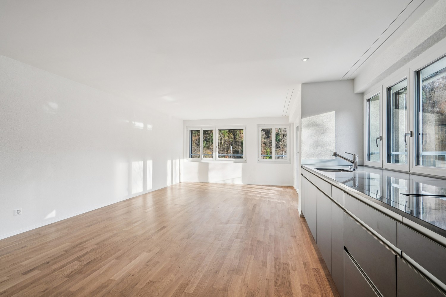 Appartement de 3 ½ pièces