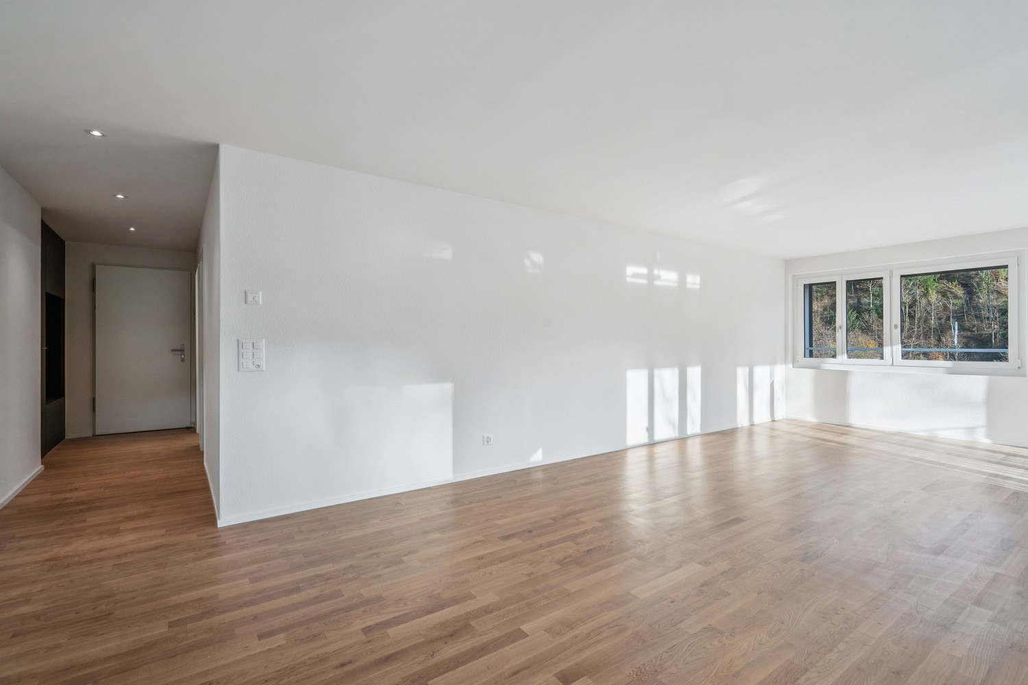 Appartement de 3 ½ pièces