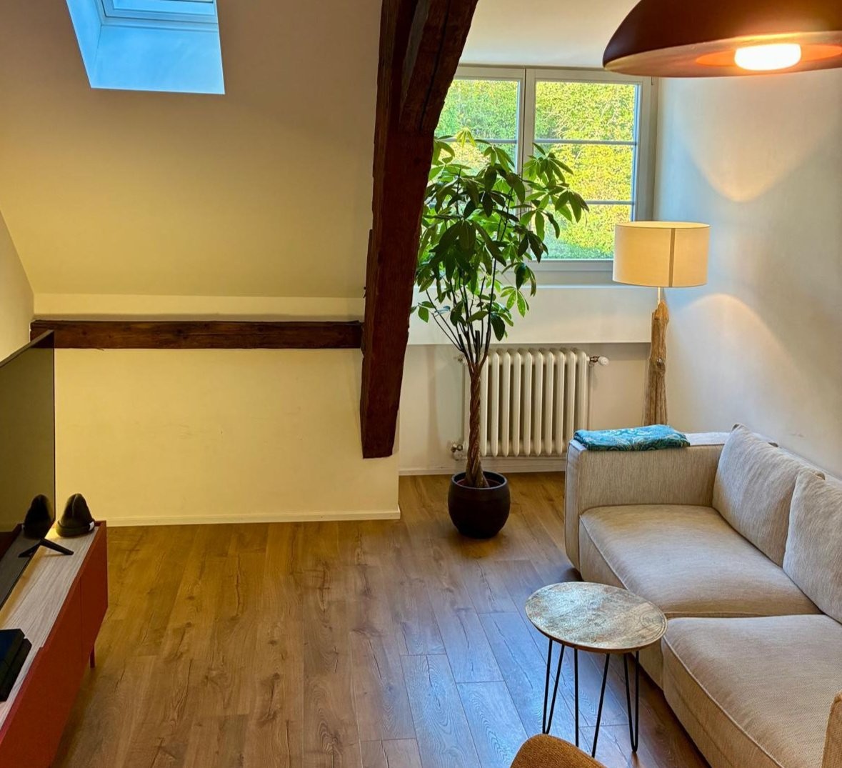 1 ½ rooms furnished flat, photo 2 sur 8