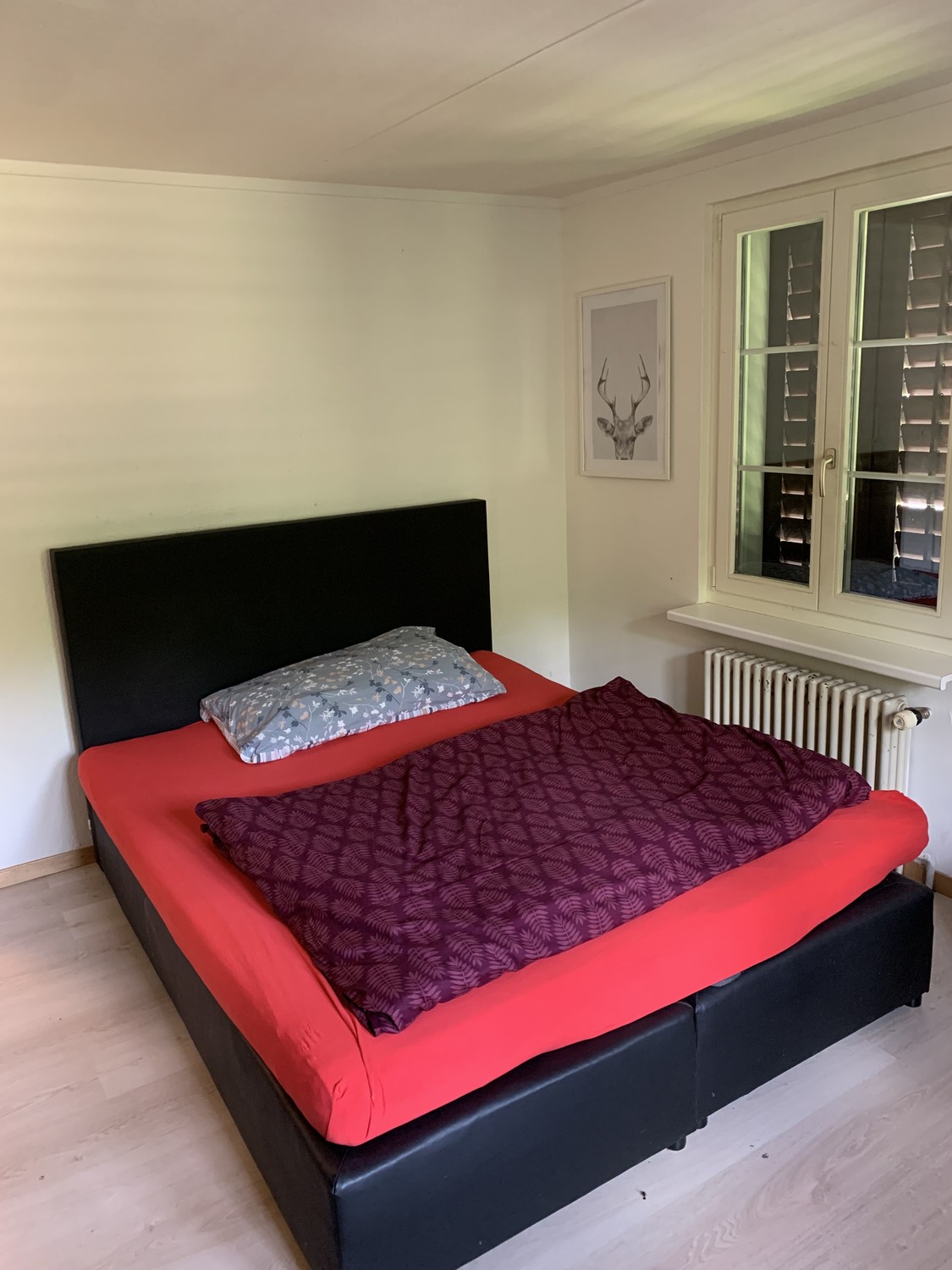 Chambre en colocation