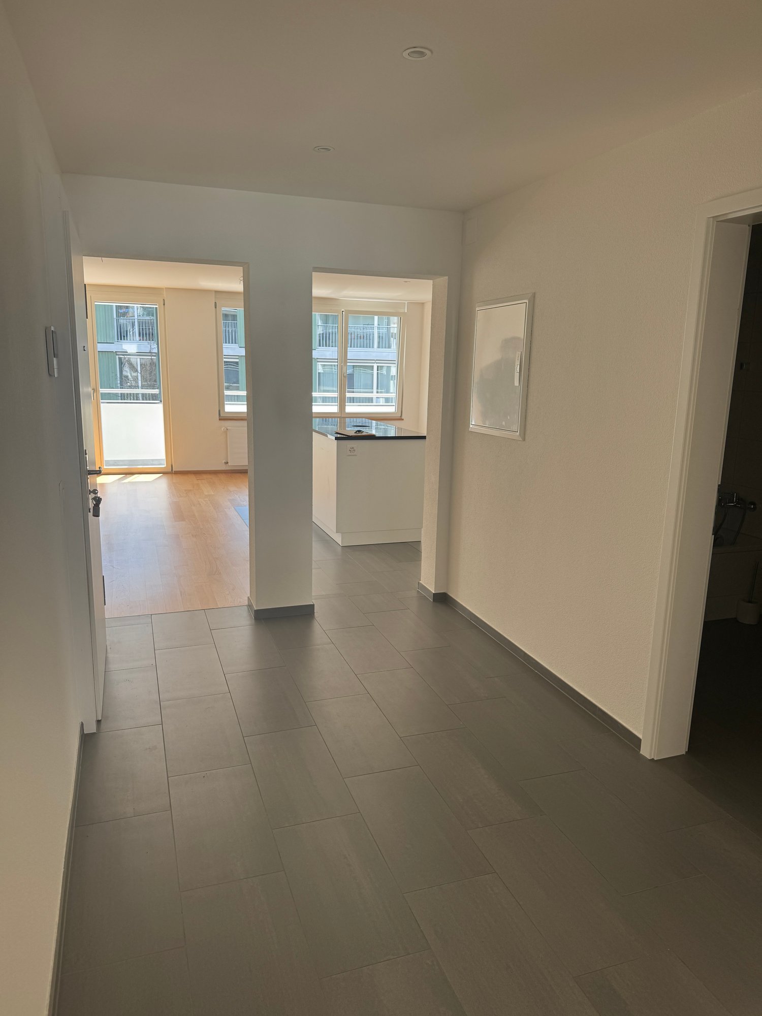 Appartement de 3 ½ pièces, photo 2 sur 7