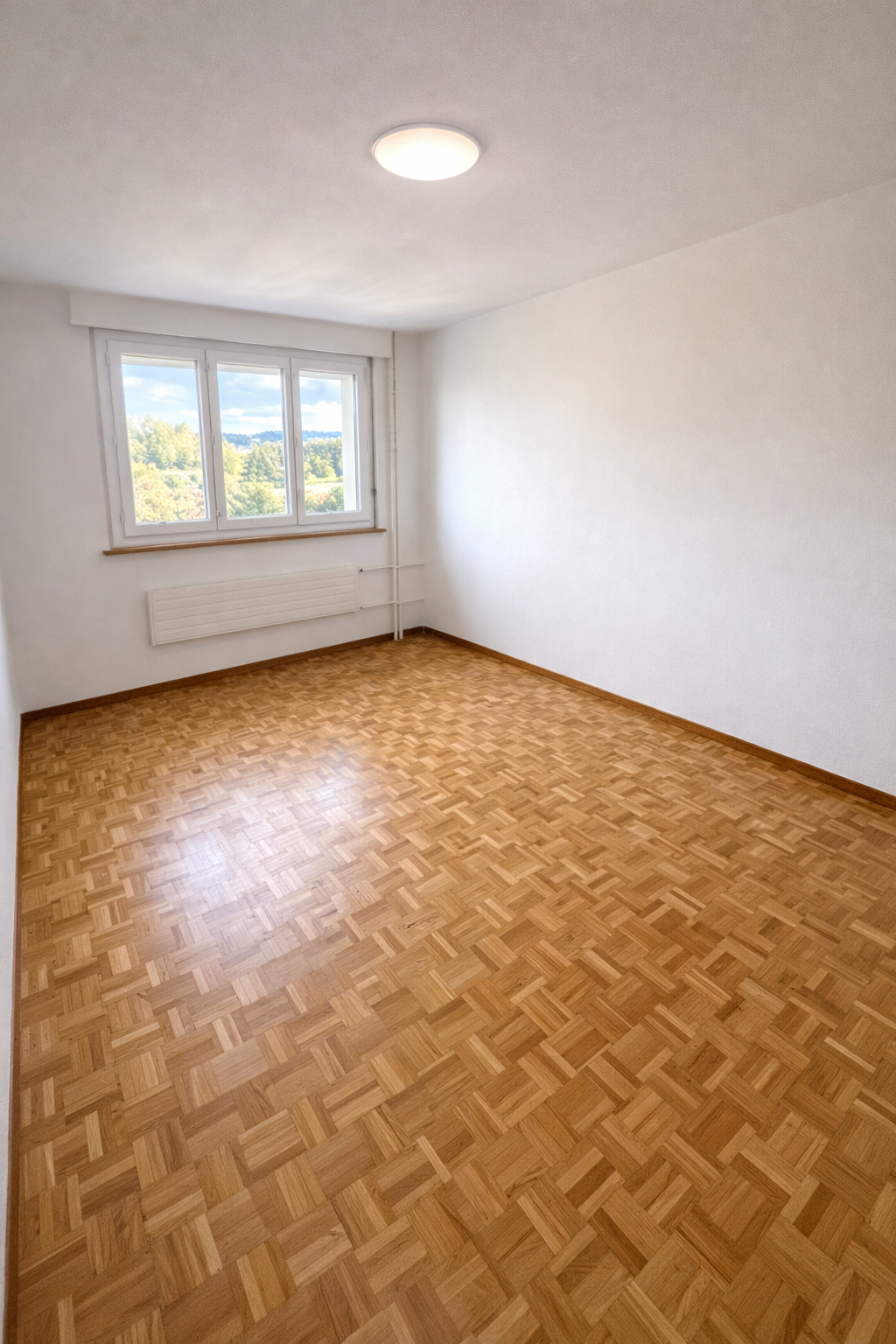 3 ½ Zimmer-Wohnung
