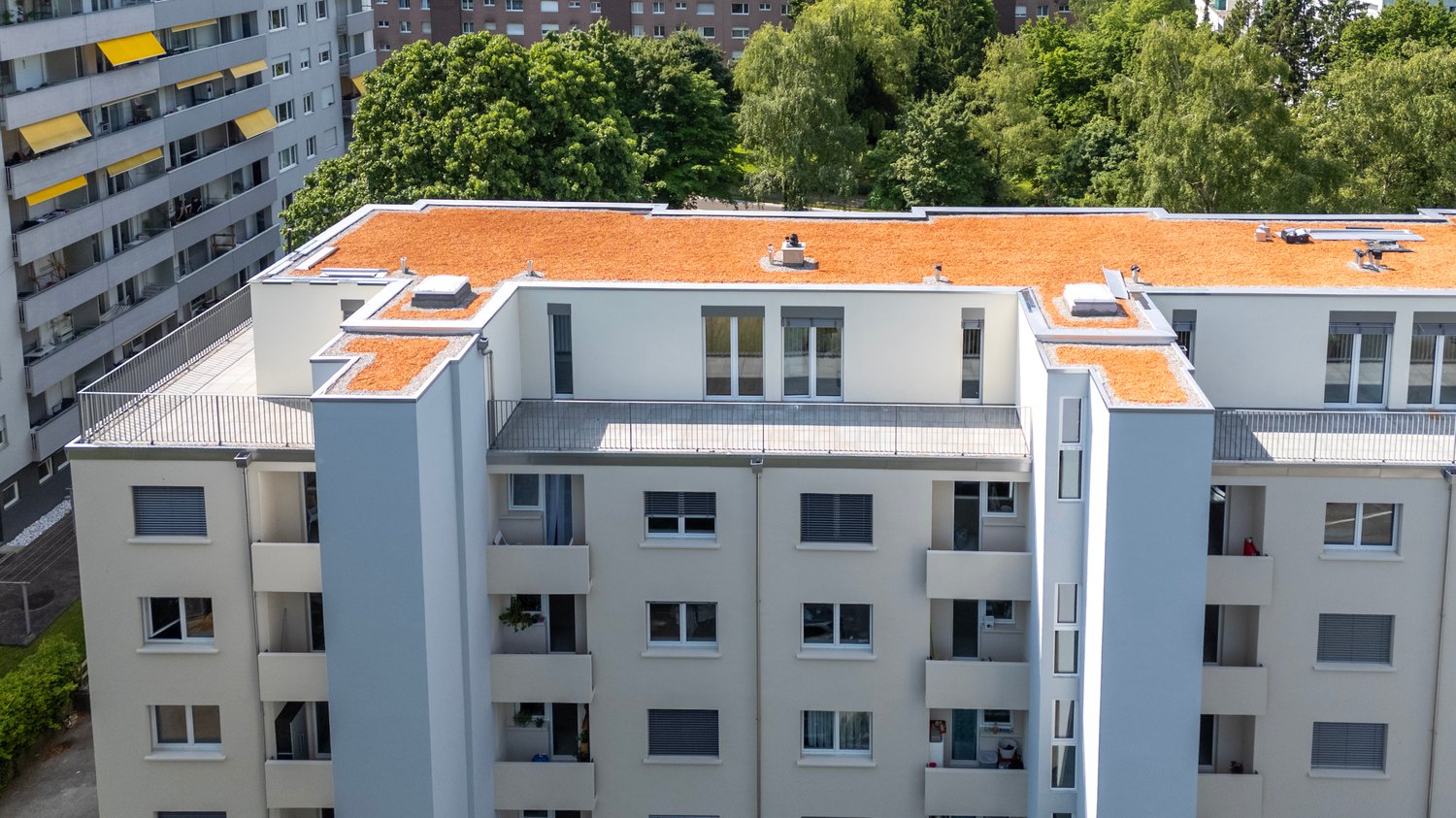 Appartement en attique de 2 ½ pièces, photo 9 sur 10