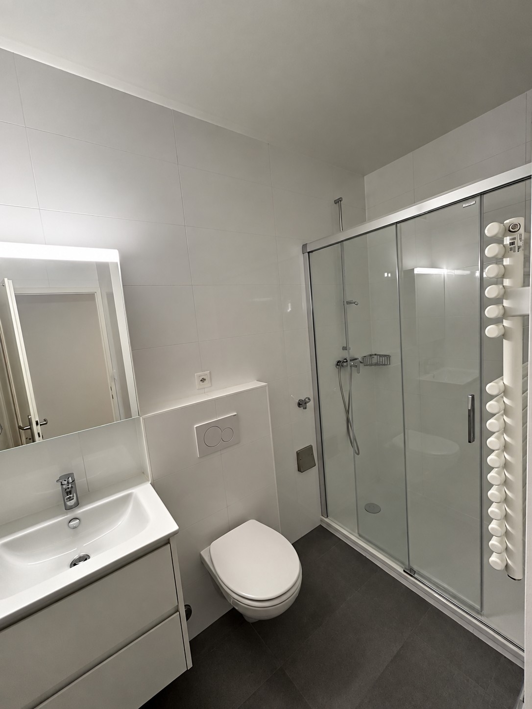 1 ½ rooms apartment, photo 4 sur 4