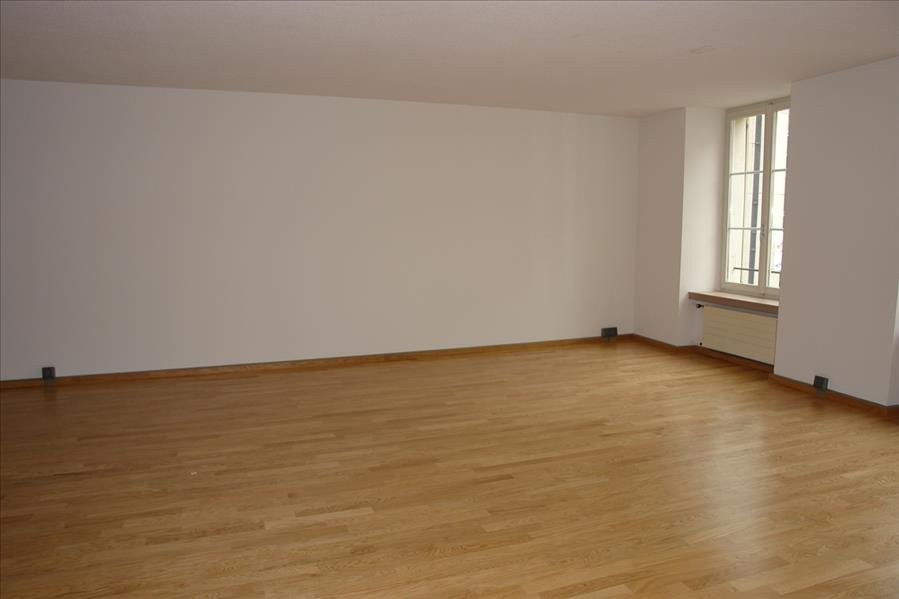 loft 1 pièce