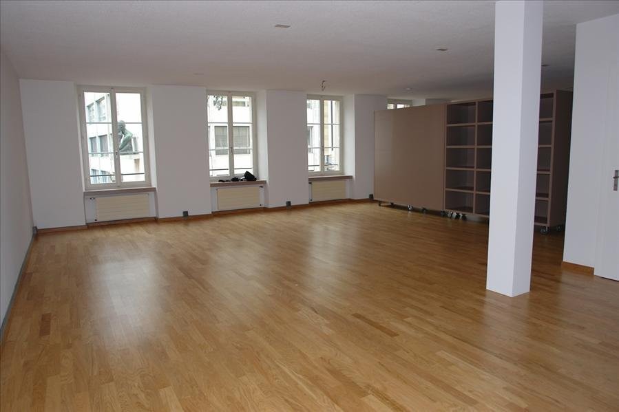 loft 1 pièce