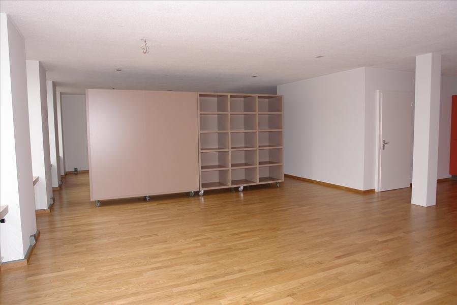 loft 1 pièce