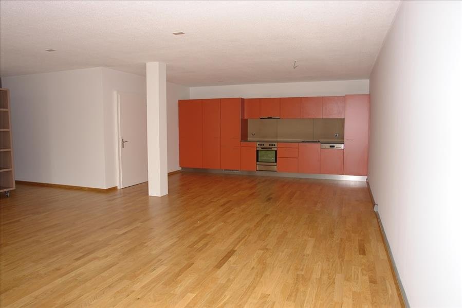 loft 1 pièce