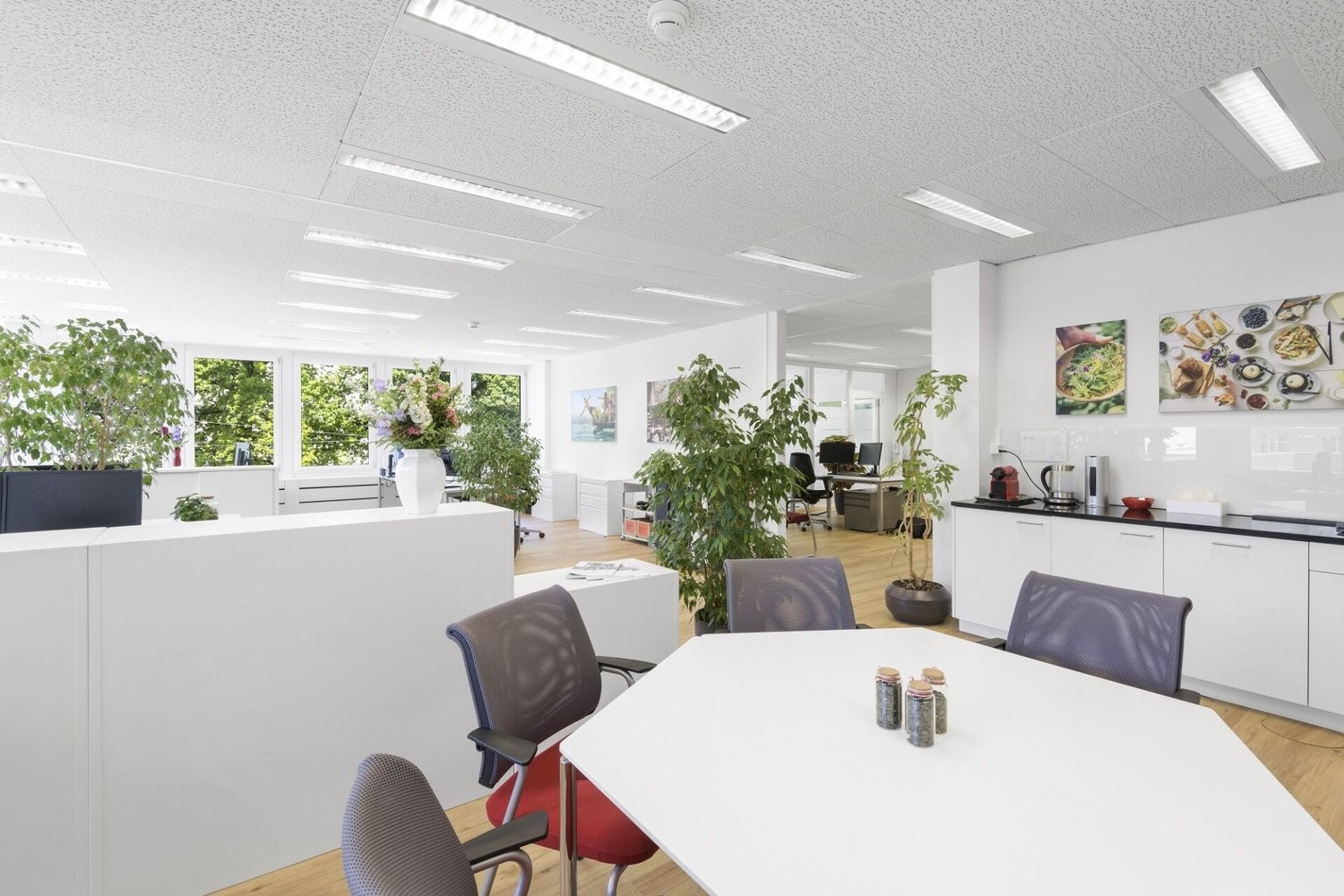 1149m² de bureaux