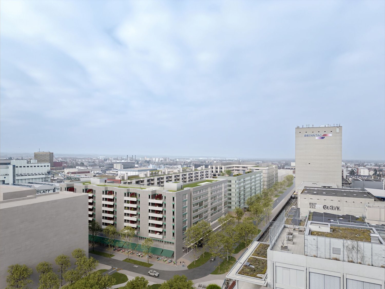 313m² de cabinet
