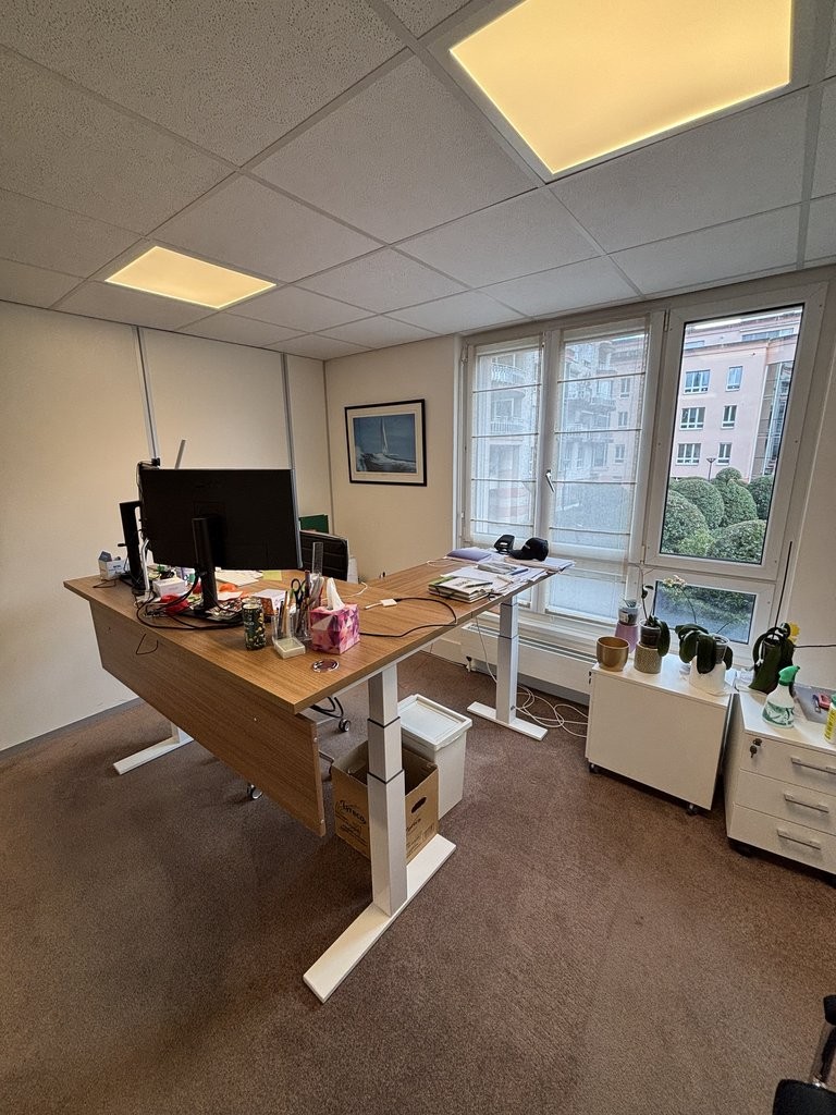 293m² office