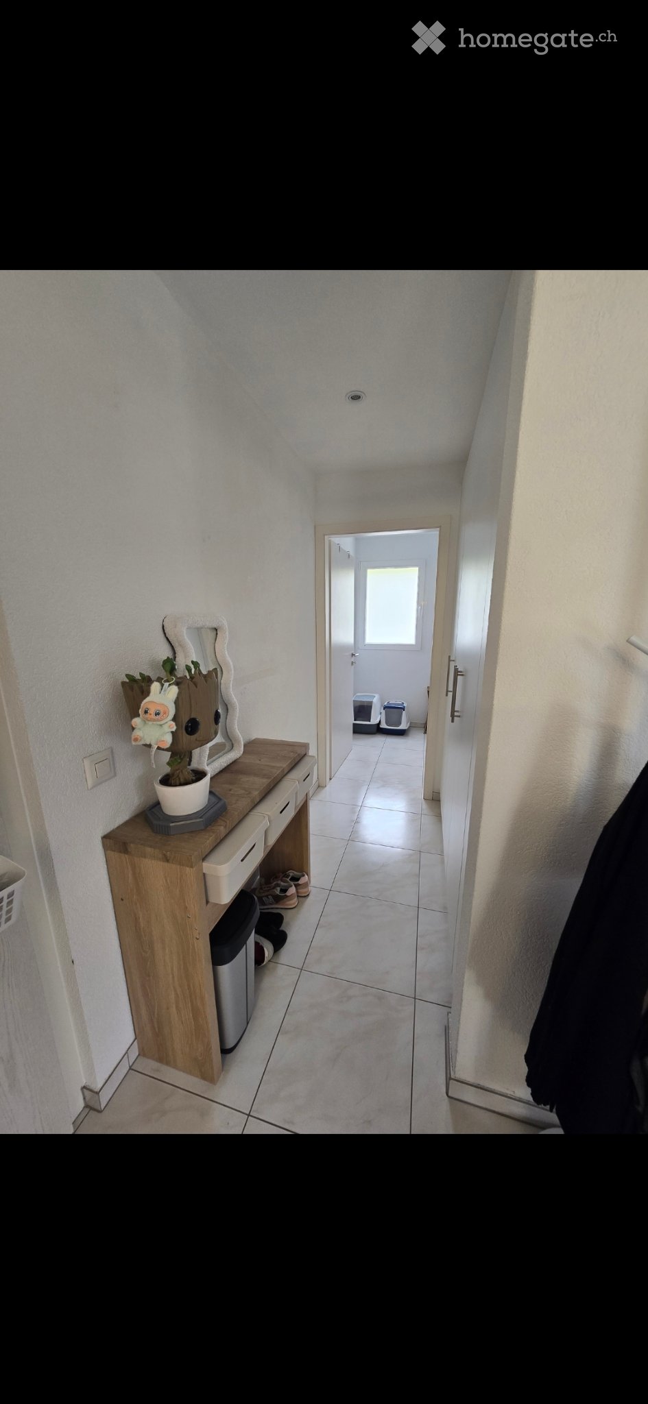 1 ½ rooms apartment, photo 4 sur 8