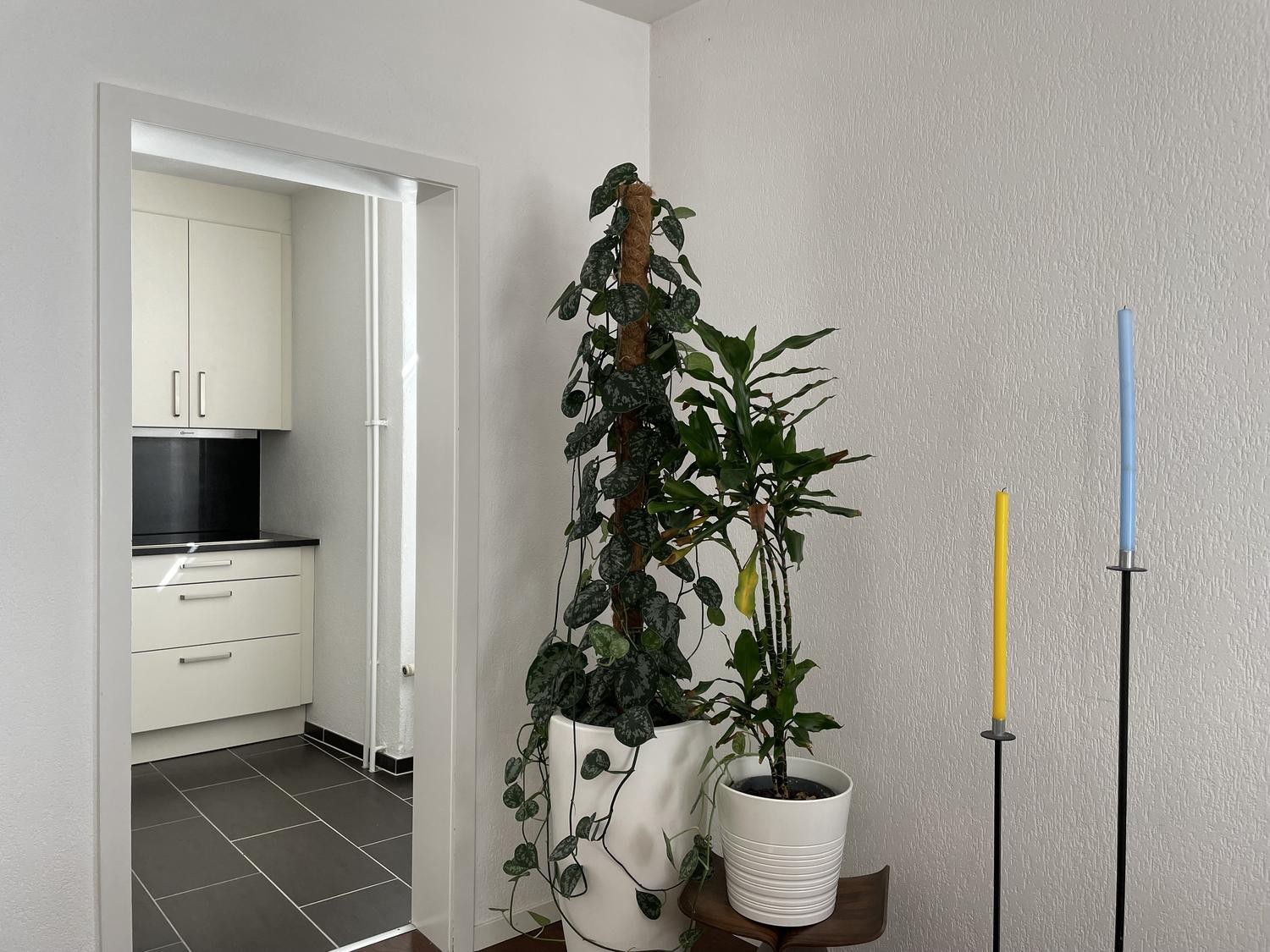 Appartement de 2 ½ pièces