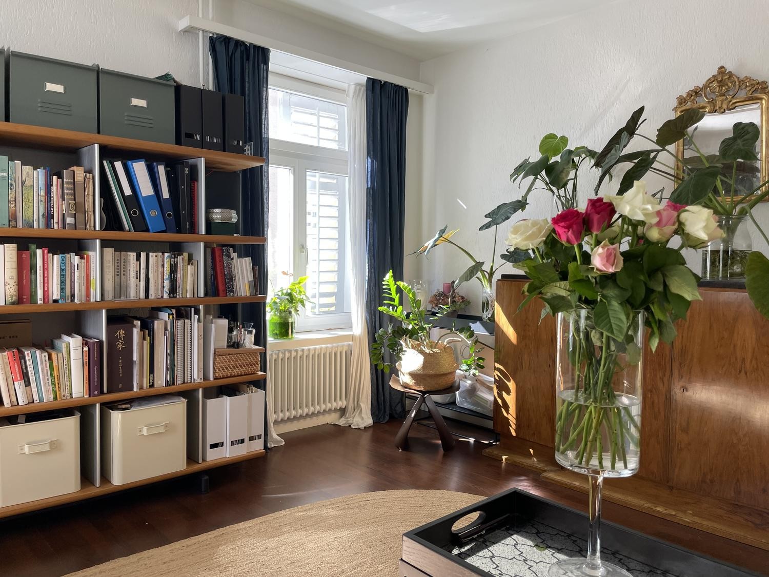 Appartement de 2 ½ pièces