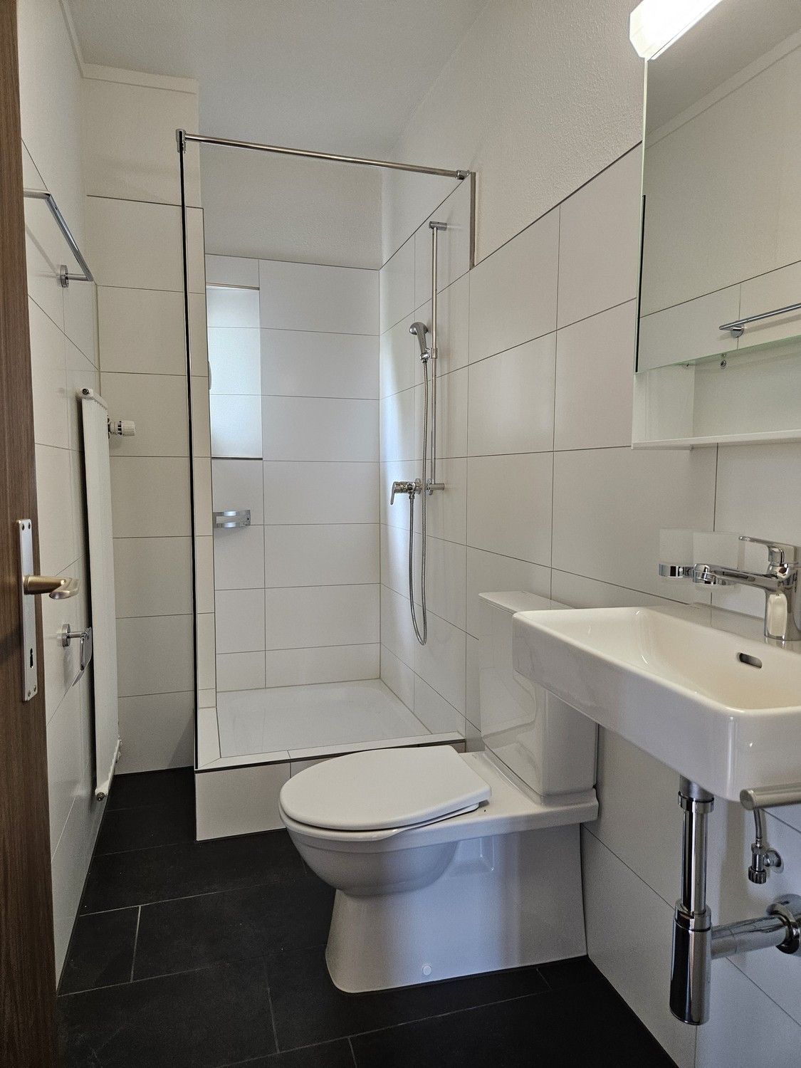 Appartement de 1 ½ pièces, photo 1 sur 7