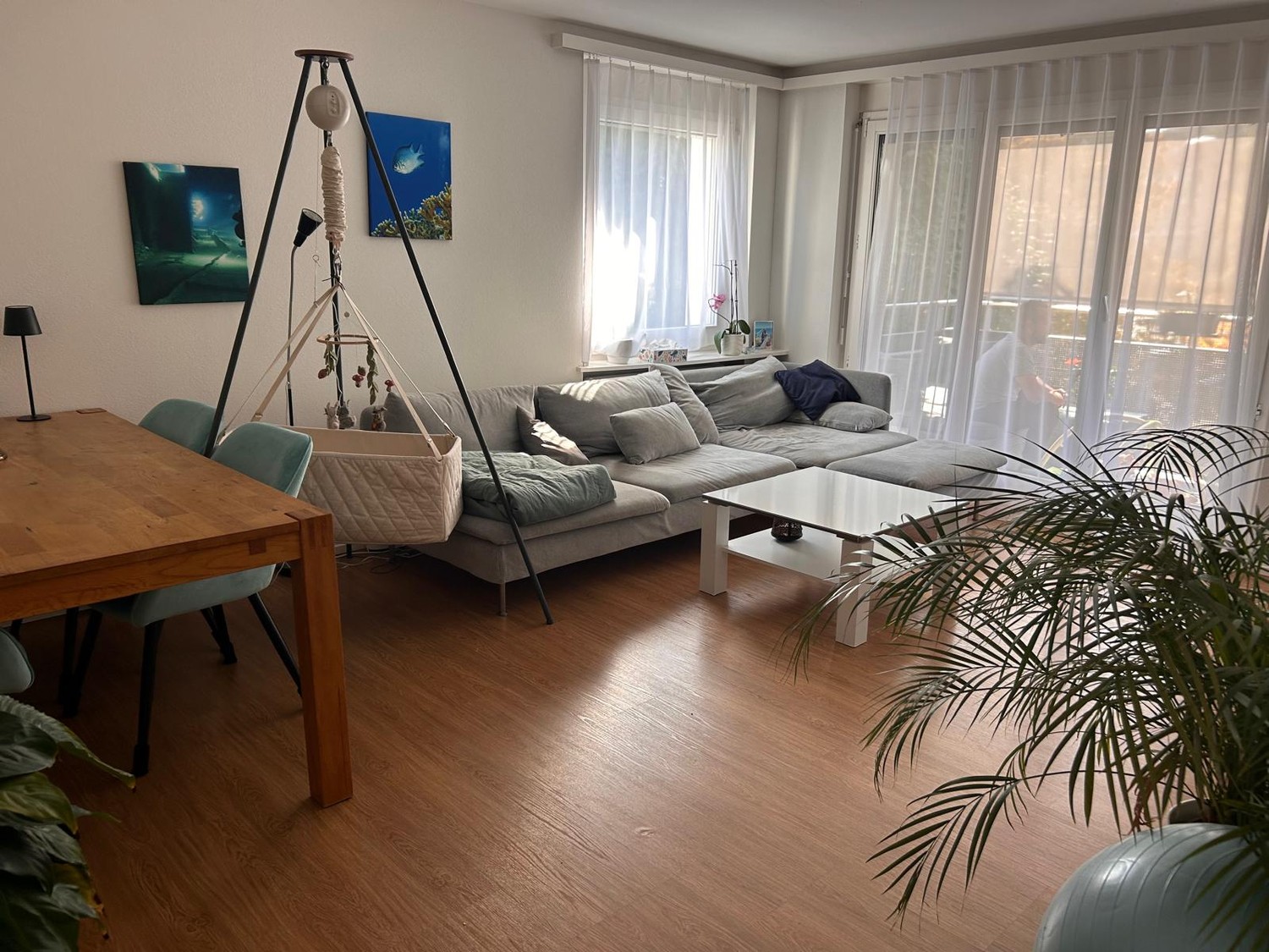 Appartement de 3 ½ pièces
