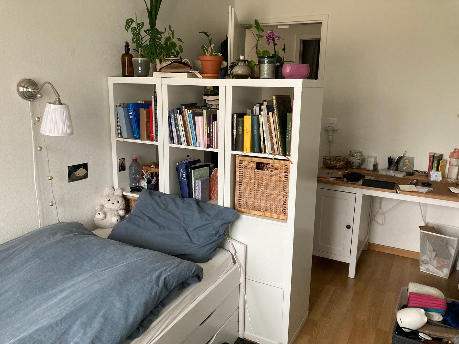 Chambre en colocation